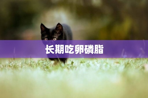 長期吃卵磷脂