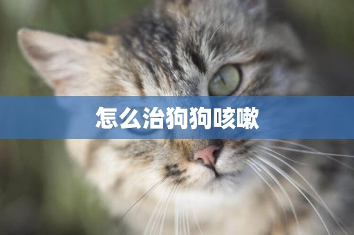 怎么治狗狗咳嗽