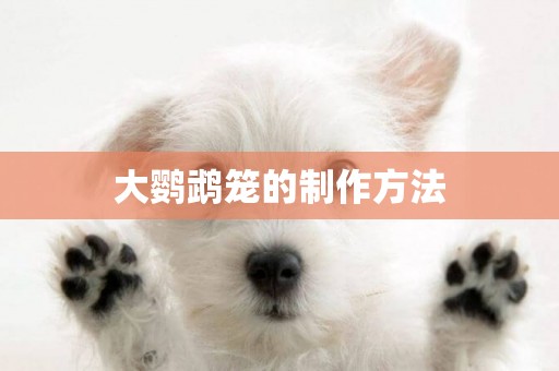 大鸚鵡籠的制作方法