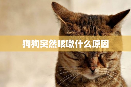 狗狗突然咳嗽什么原因