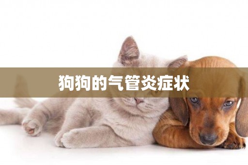 狗狗的氣管炎癥狀