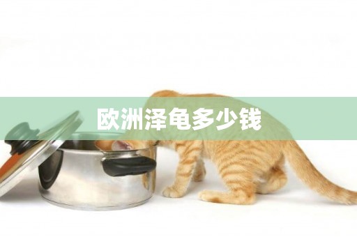 歐洲澤龜多少錢