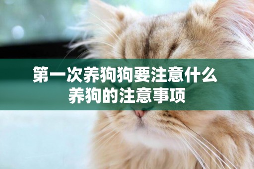 第一次養狗狗要注意什么 養狗的注意事項