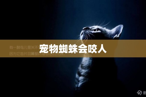 寵物蜘蛛會咬人