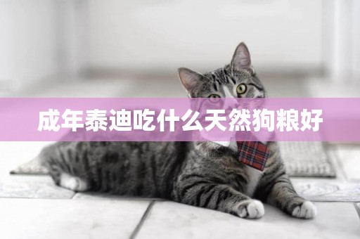 成年泰迪吃什么天然狗糧好