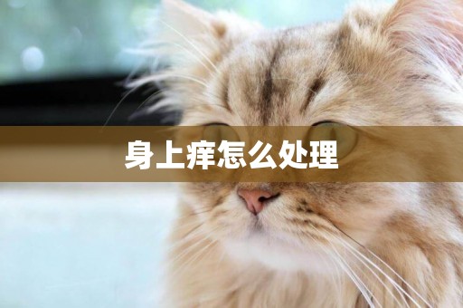 身上癢怎么處理