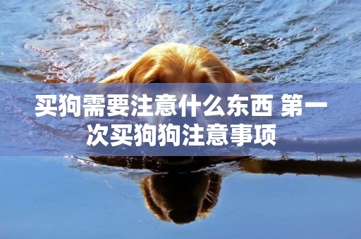 買狗需要注意什么東西 第一次買狗狗注意事項
