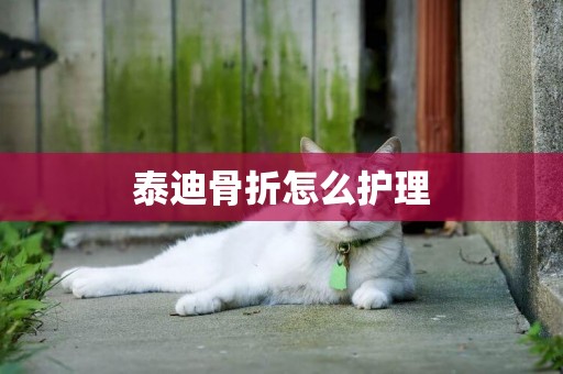 泰迪骨折怎么護理