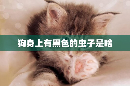 狗身上有黑色的蟲子是啥