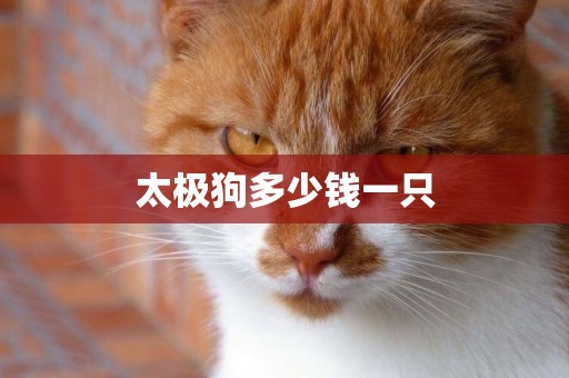 太極狗多少錢一只