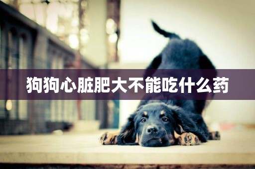 狗狗心臟肥大不能吃什么藥