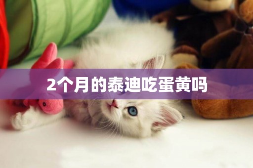 2個月的泰迪吃蛋黃嗎