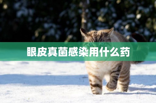 眼皮真菌感染用什么藥