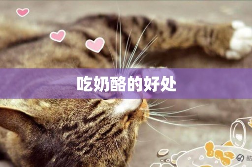 吃奶酪的好處