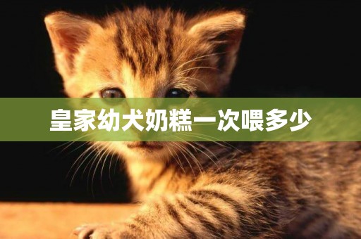 皇家幼犬奶糕一次喂多少