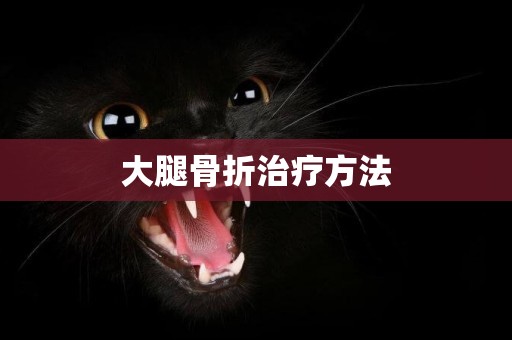 大腿骨折治療方法