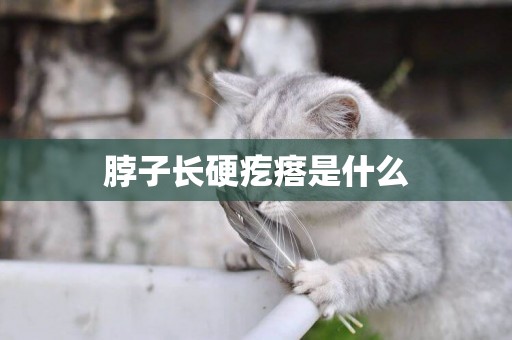 脖子長硬疙瘩是什么