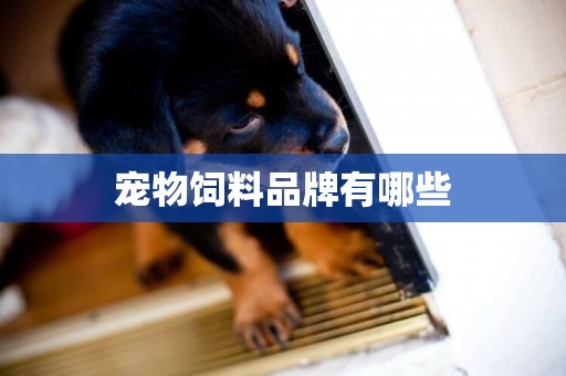 寵物飼料品牌有哪些