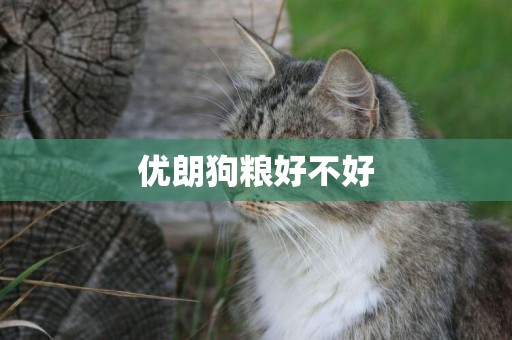 優朗狗糧好不好