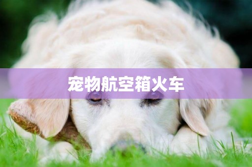 寵物航空箱火車