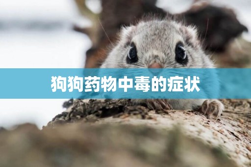狗狗藥物中毒的癥狀