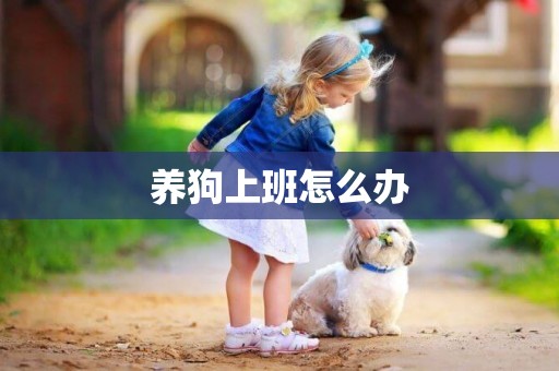 養狗上班怎么辦