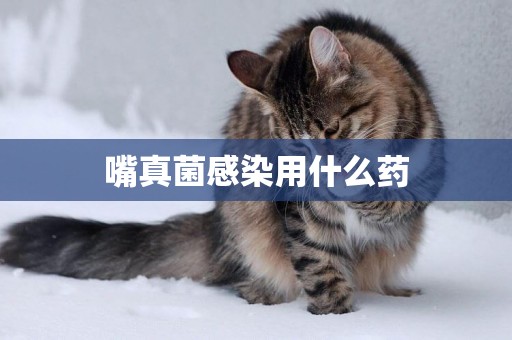 嘴真菌感染用什么藥