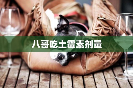 八哥吃土霉素劑量