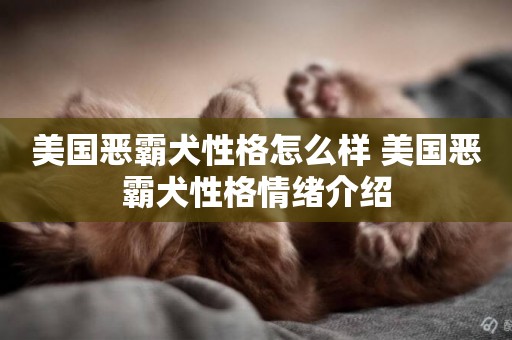 美國惡霸犬性格怎么樣 美國惡霸犬性格情緒介紹