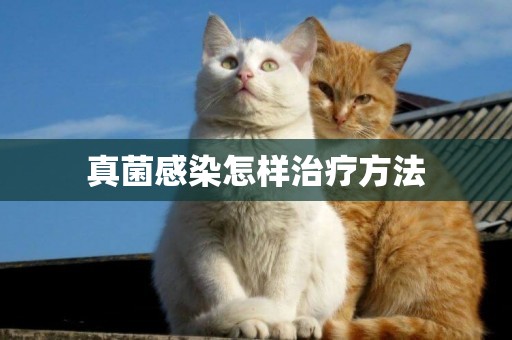真菌感染怎樣治療方法