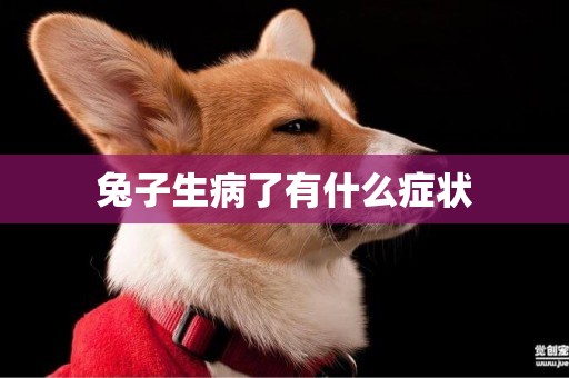 兔子生病了有什么癥狀