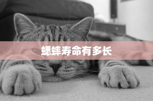蟋蟀壽命有多長