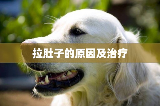 拉肚子的原因及治療
