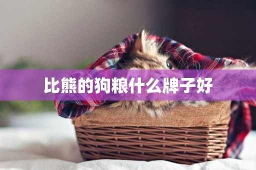 比熊的狗糧什么牌子好