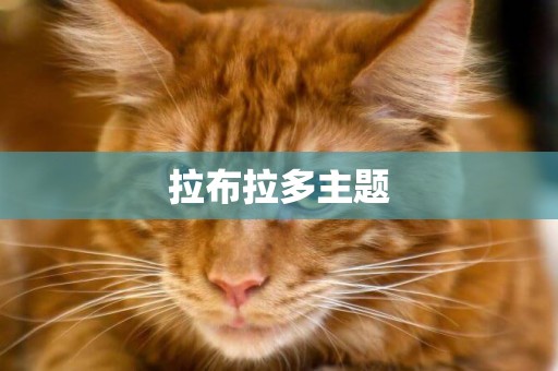 拉布拉多主題