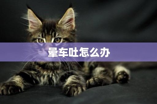 暈車吐怎么辦