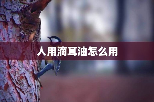 人用滴耳油怎么用