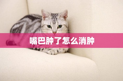 嘴巴腫了怎么消腫