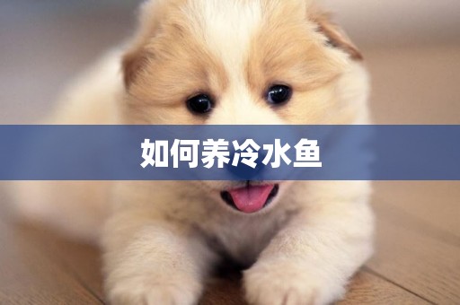 如何養冷水魚