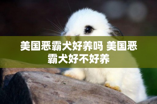 美國惡霸犬好養嗎 美國惡霸犬好不好養