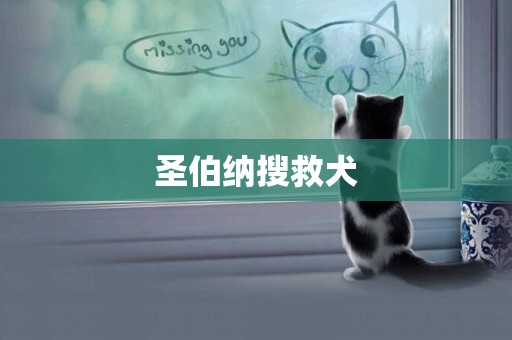 圣伯納搜救犬