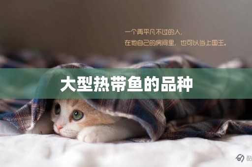 大型熱帶魚的品種