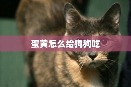 蛋黃怎么給狗狗吃