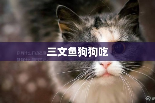 三文魚狗狗吃