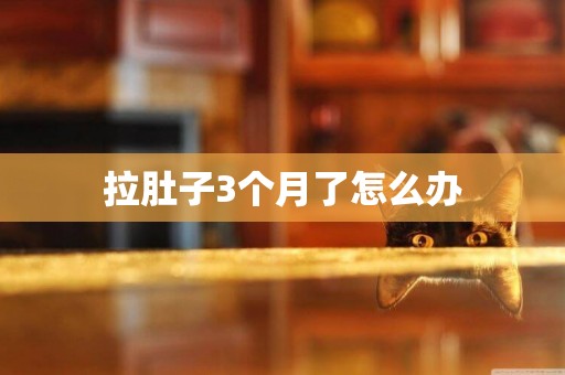 拉肚子3個月了怎么辦