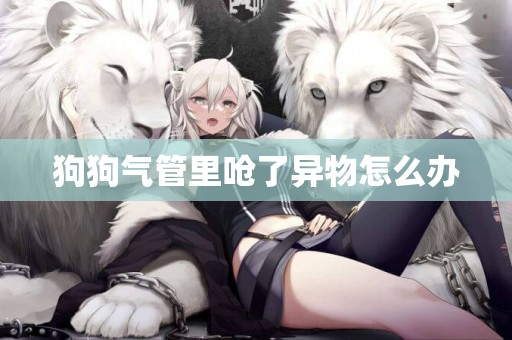 狗狗氣管里嗆了異物怎么辦