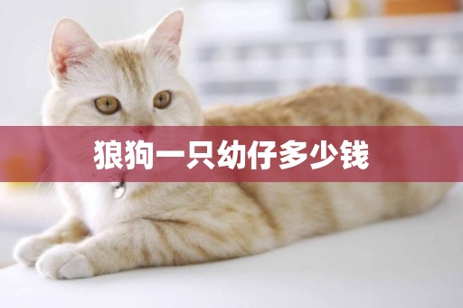 狼狗一只幼仔多少錢