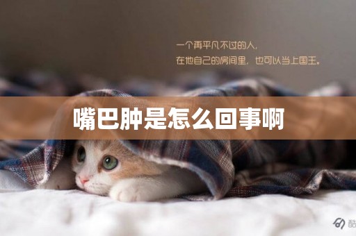 嘴巴腫是怎么回事啊