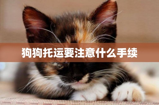 狗狗托運要注意什么手續