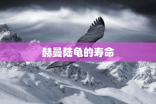 赫曼陸龜的壽命